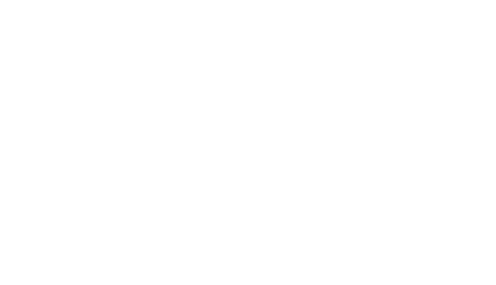Selo Parceiro do Movimento A Voz Delas Motorista PX