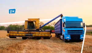 Caminhão de colheita carregando com insumos um caminhão de carga azul.