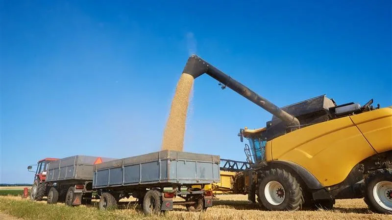 Motorista PX | yellow combine harvester pouring grain into tracto 2025 03 13 14 53 38 utc edited Escoamento-de-grãos-logística-no-agronegócio